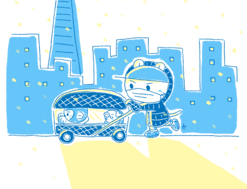 One snowing day – 2024 renewal