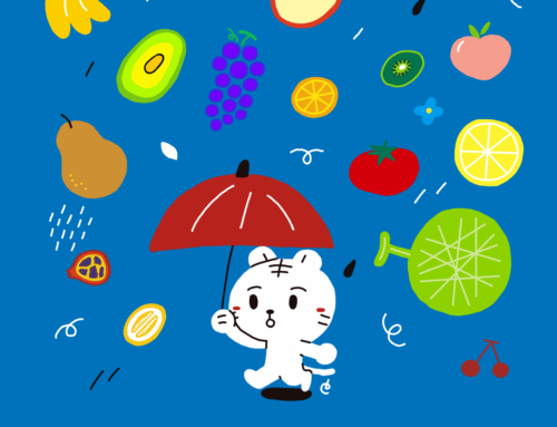 Fruits Rain – 2024 renewal